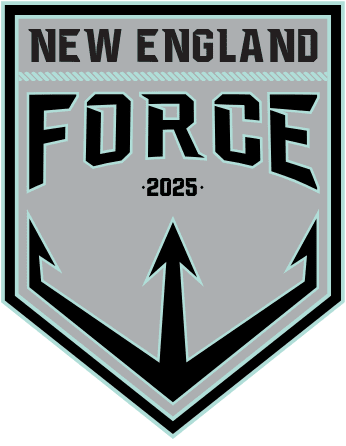 NEF Official Logo